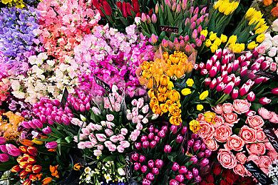 没在开发？Team Ninja澄清《忍龙》《死或生》重启报道